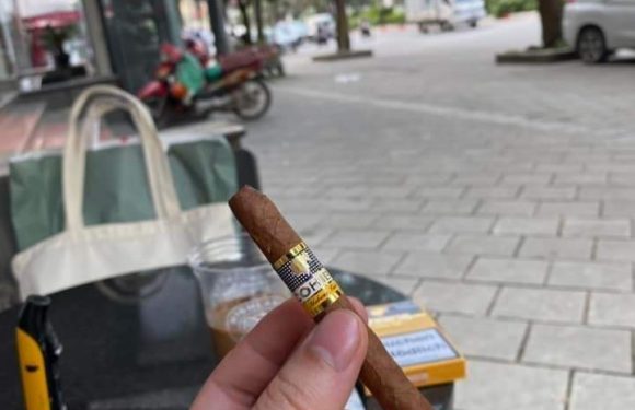 Cohiba wide short chào tháng 10