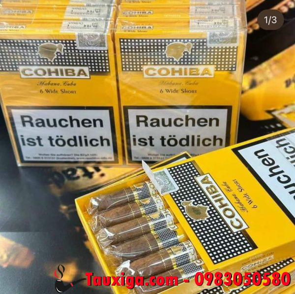 Cohiba 6 wide short