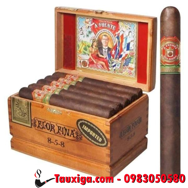 Arturo Fuente Flor Fina 858 Maduro