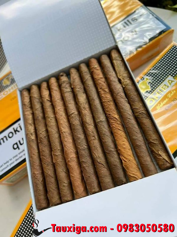 Xì gà mini Cohiba club 20