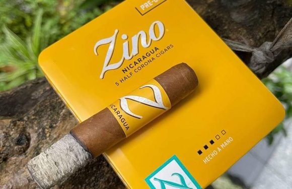 Zino Nicaragua half corona và các Golfers