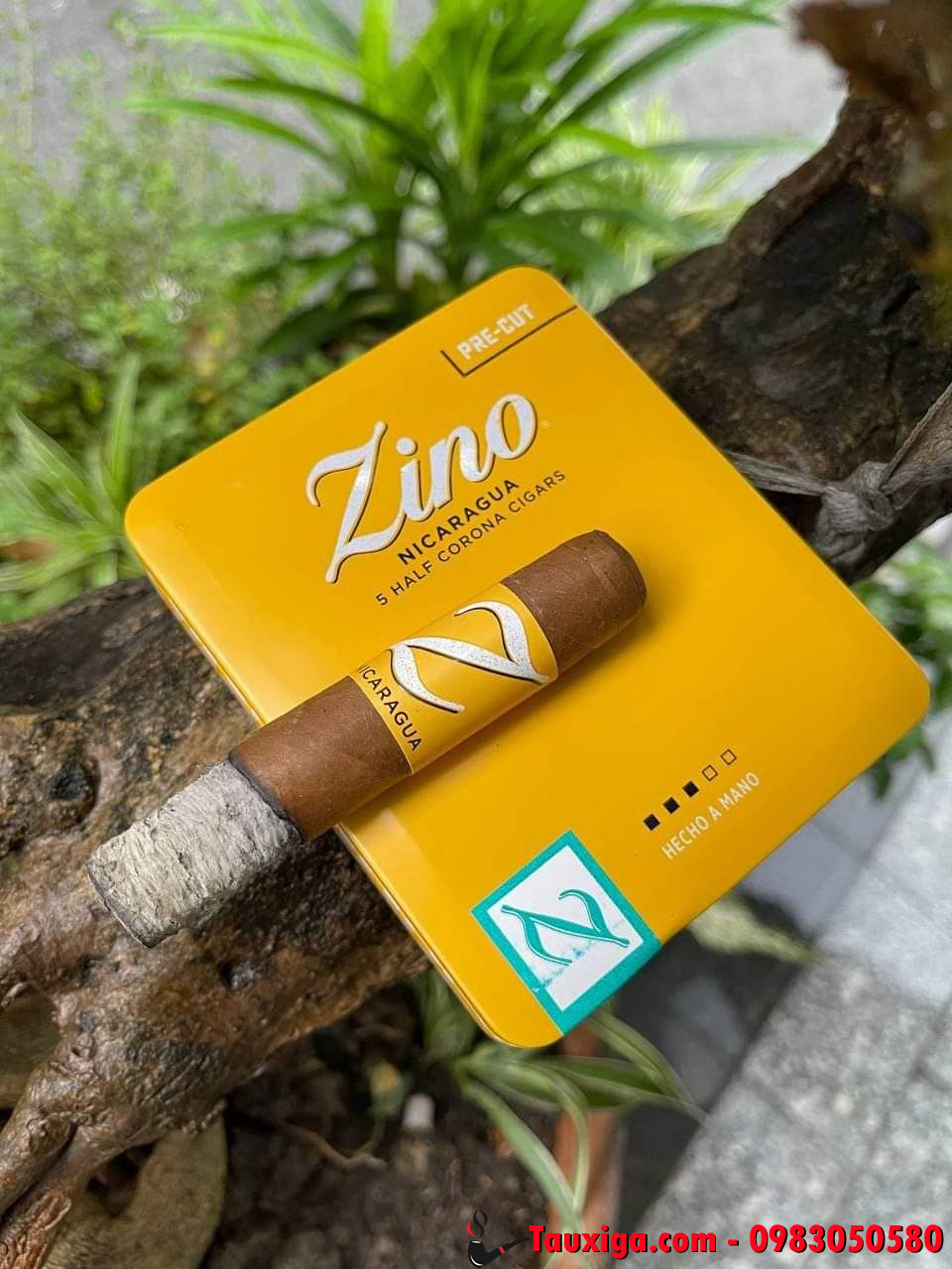 Zino Nicaragua half corona