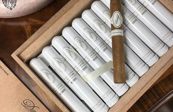 Xì gà Davidoff signature serie 2000