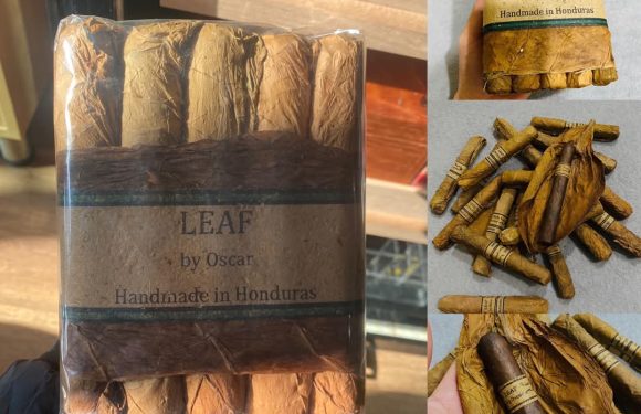 Trải nghiệm Leaf by Oscar Maduro Gordo 6 × 60