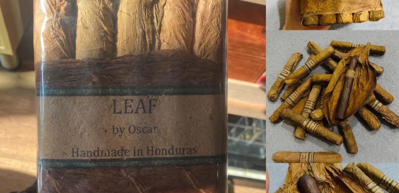 Trải nghiệm Leaf by Oscar Maduro Gordo 6 × 60