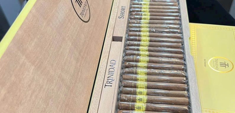 Trinidad short 66 humidor bản rồng 2024