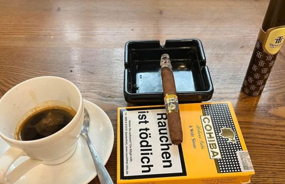 Cohiba wide short cuối tuần
